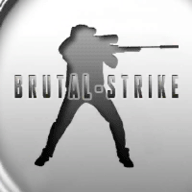 野蛮打击(BrutalStrike v3733)