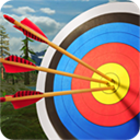 射箭大师3D(Archery Master 3D)