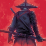忍者岚2暗影归来