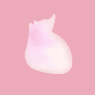 生命life(LIFE)