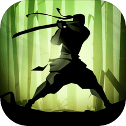 暗影格斗相印9代