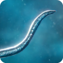 细胞起源游戏(Bionix)