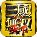 真三国无双天下