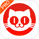 猫眼专业版实时数据查询