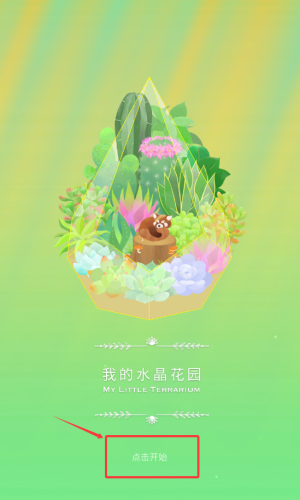 我的水晶花园(My Little Terrarium)