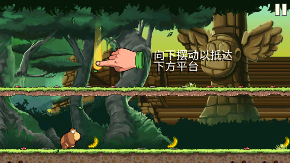 香蕉金刚