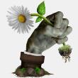 植物大战僵尸返茂版