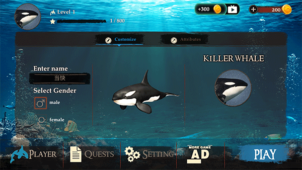 虎鲸模拟器(The Killer Whale)