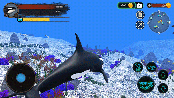 虎鲸模拟器(The Killer Whale)