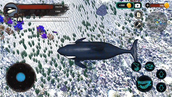 虎鲸模拟器(The Killer Whale)