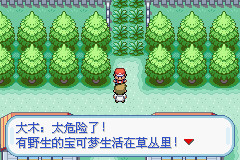 口袋妖怪火红可存档完美版