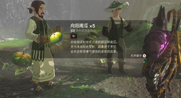 王国之泪向阳南瓜怎么获得-塞尔达传说王国之泪向阳南瓜获取攻略