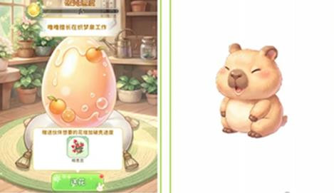 织梦森林伙伴获取方式介绍