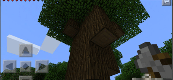 我的世界国际服生存服(Minecraft)