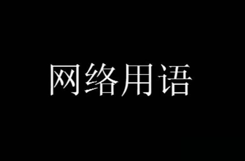 word new new bug knee can是什么梗