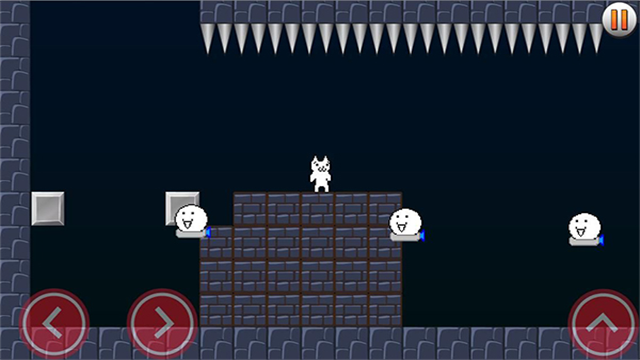 Jumpy Cat