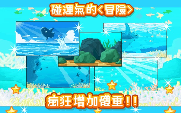 曼波魚