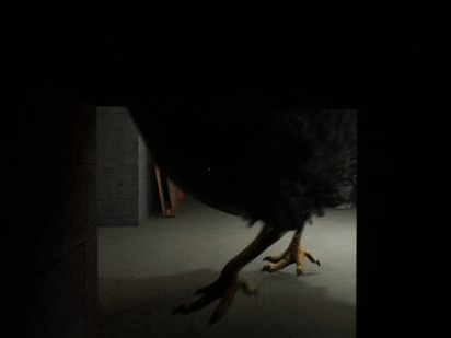 Chicken Feet