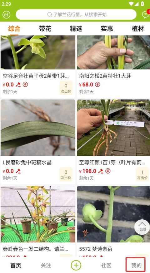 兰花交易网
