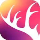 Charmdeer(阡鹿旅游)