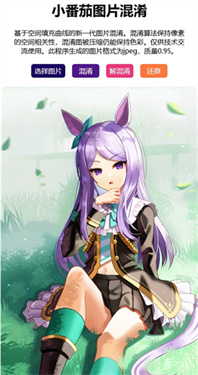 小番茄图片处理