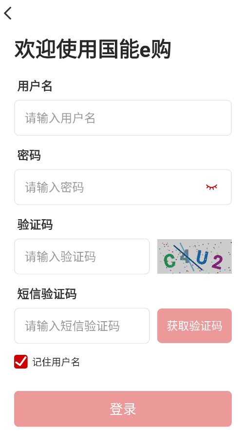 国能e购