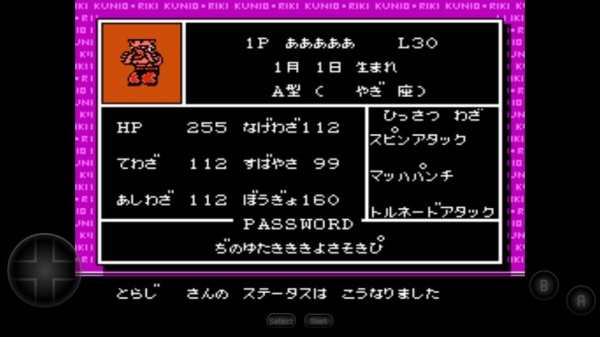 热血格斗传说双虎版