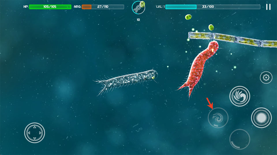 细胞起源游戏(Bionix)