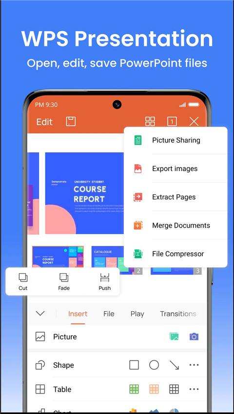 wps office精简版(WPS Office Lite)