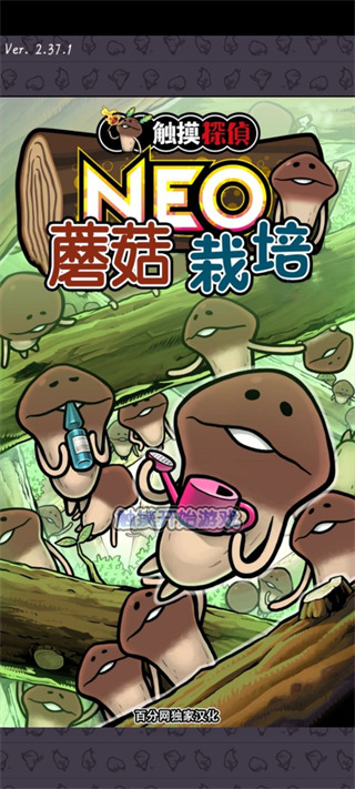 菇菇栽培