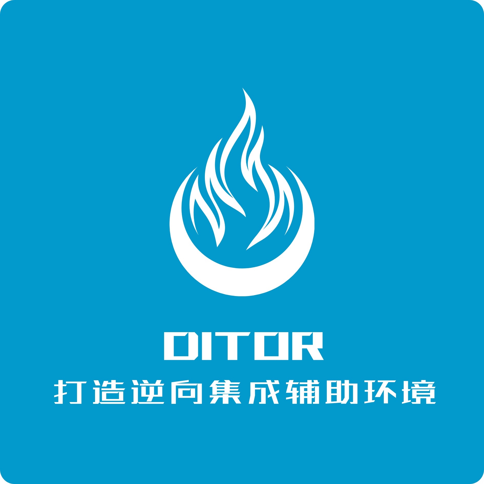 DITOR脱壳软件