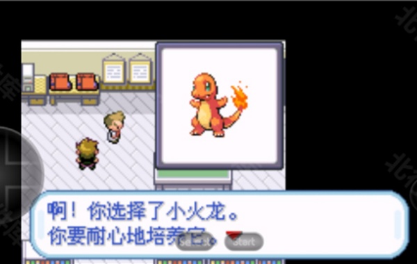 口袋妖怪叶绿