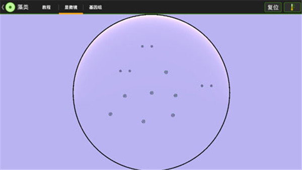 细胞实验室(Cell Lab)