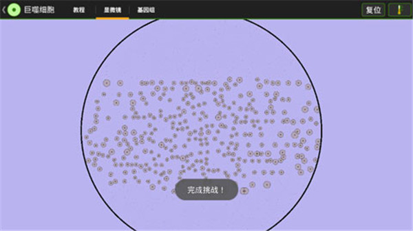 细胞实验室(Cell Lab)