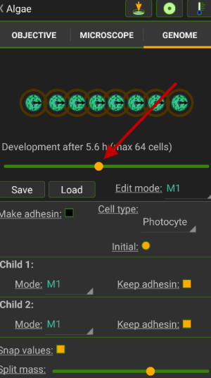 细胞实验室(Cell Lab)