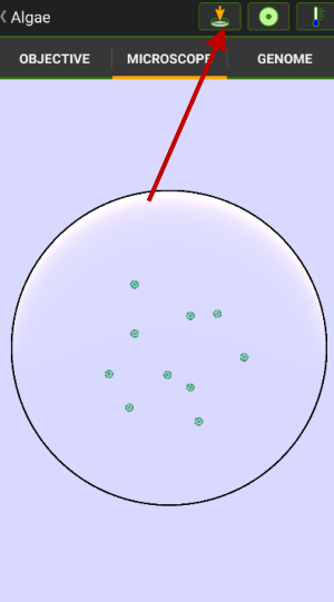 细胞实验室(Cell Lab)