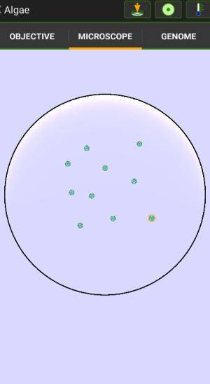 细胞实验室(Cell Lab)