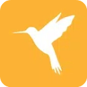 小黄鸟(Reqable)