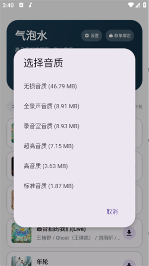 气泡水